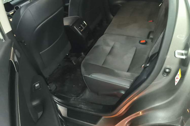 Used Lexus RX 2016 300 Two-Wheel Drive Elite Version China V Standard Left Rear Seat