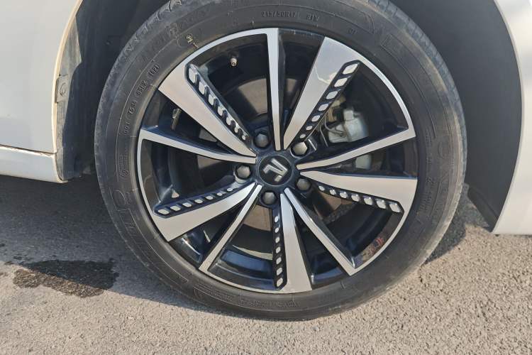 Used Rising ER6 2021 New Dynamic Edition 620km Smart Drive Version
