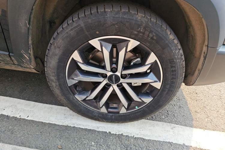 Used Haval DARGO 2026 Model 1.5T DCT Border Collie Edition
