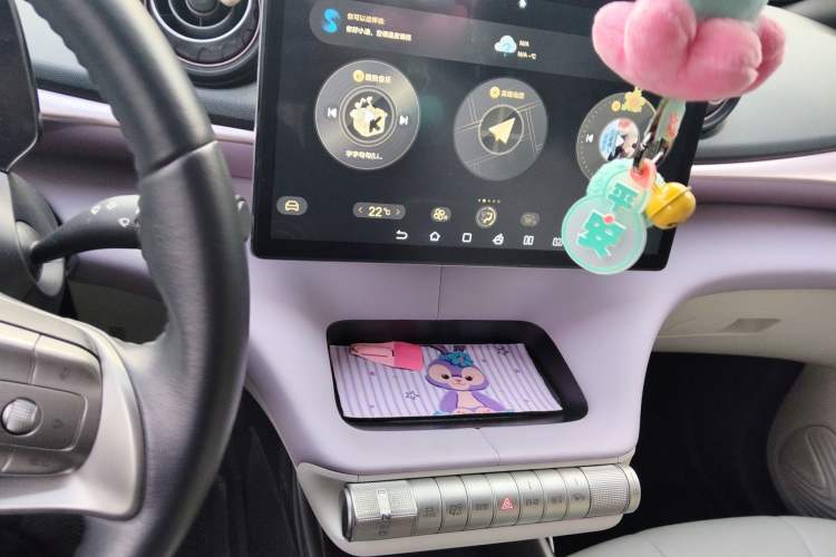 Used BYD Dolphin 2021 405 km Fashion Edition Audio And AC Panel