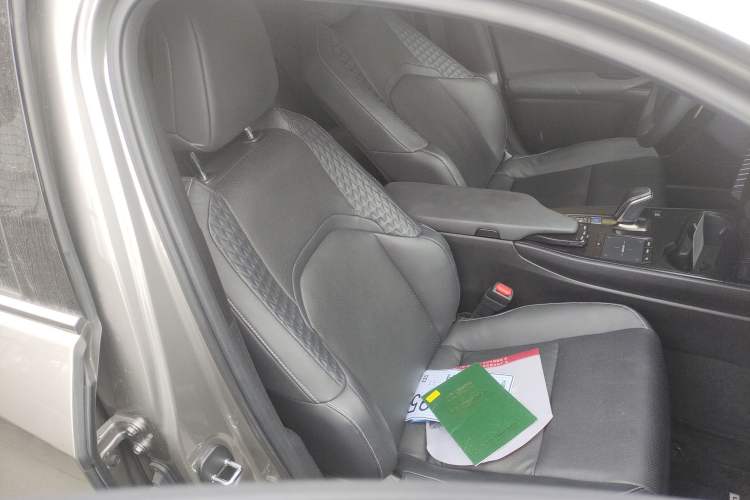 Used Lexus UX New Energy 2020 300e Pure·Joy Edition