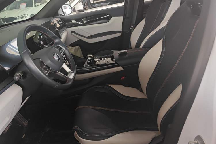 Used BYD Qin PLUS 2023 Champion Edition DM-i 55KM Leading Model Left Front Seat