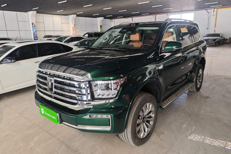 Used Tank 500 New Energy 2026 Model—Hi4-Z Smart Enjoyment Version