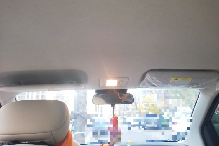 Used Qiyuan Lumin 2024 301km Orange Wind Edition