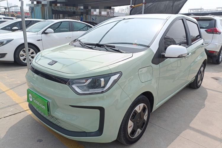 Used SOL E10X 2022 Flower Fairy Design Four-Leaf Clover