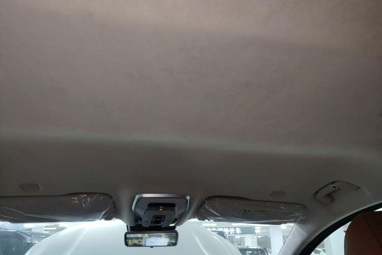 Used Hongqi HQ9 2023 2.0T Smart Connect Flagship Edition