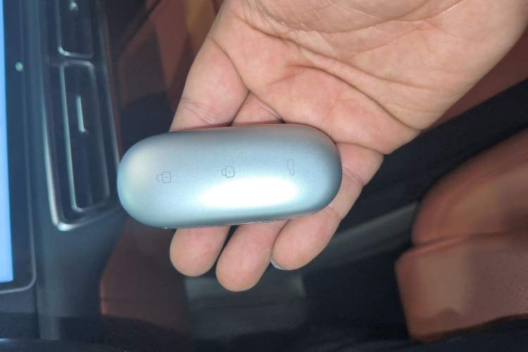 Used Li Auto L9 2023 Pro Model