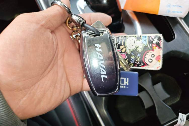 Used Haval H6 2021 National Trend Edition 1.5T Automatic Champion Version