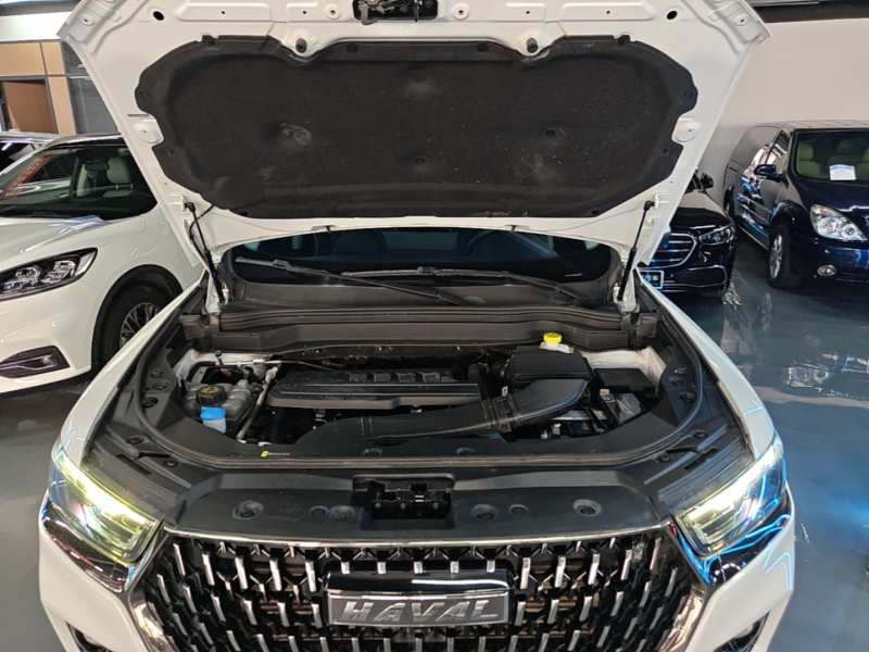 Used Haval H6 2023 National Trend Edition 1.5T Automatic Urban Version — 19