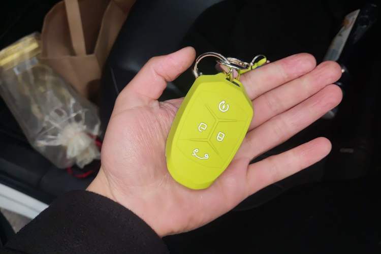 Used Lynk & Co 01 2019 2.0T Two-Wheel Drive Zhaopu Version China V Standard
