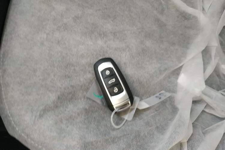 Used Geely Galaxy Panda 2024 Panda Mini 200km Endurance Bear