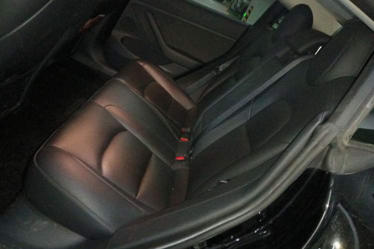 Used Tesla Model 3 2021 Revised Version Standard Range Rear-Wheel Drive Upgraded Edition 3D1