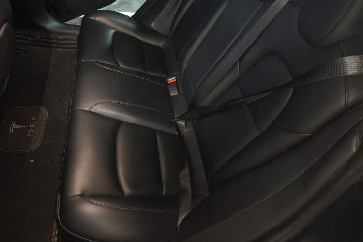 Used Tesla Model 3 2019 Long-Range Rear-Wheel-Drive Version Left Rear Seat