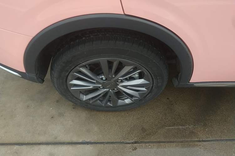 Used NETA V 2021 Long-Range Industry Custom Edition
