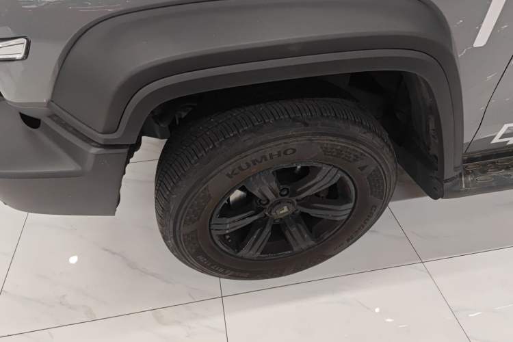 Used Tank 300 2024 2.0T Conqueror