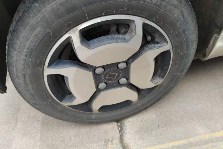 Used SOL E10X 2022 Flower Fairy Style Baby's Breath