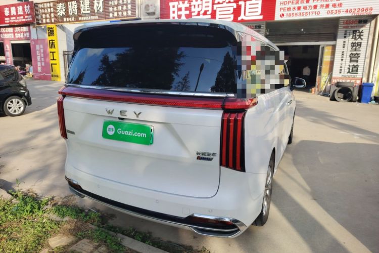 Used Wey Gaoshan 2023 Four-Wheel Drive Flagship Edition
