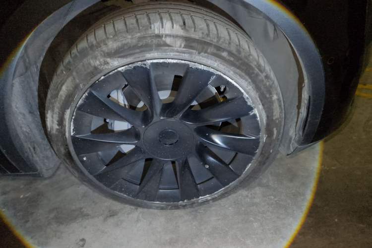 Used Tesla Model Y 2023 Rear-Wheel-Drive Version