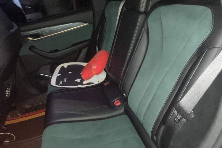 Used Geely Auto Monjaro L 2021 2.0TD DCT EVO Two-Wheel Drive Prestige Version
