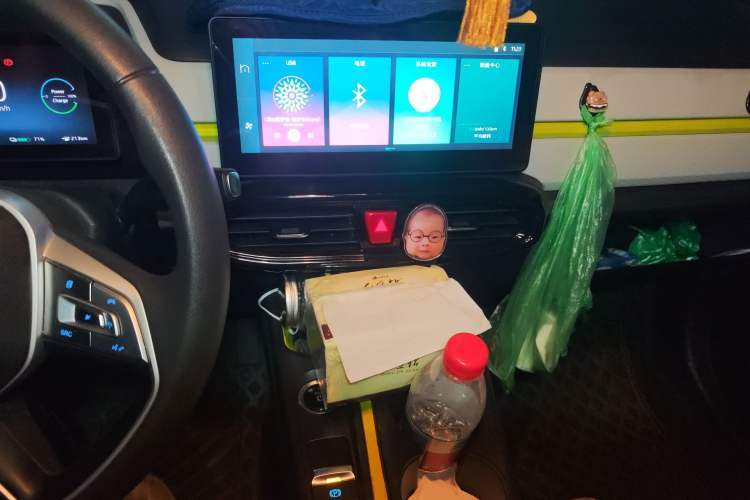 Used SOL E10X 2022 Flower Fairy Design Four-Leaf Clover