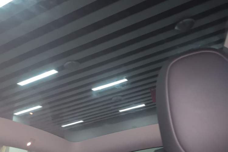 Used Tesla Model Y 2024 Rear-Wheel-Drive Version Headliner