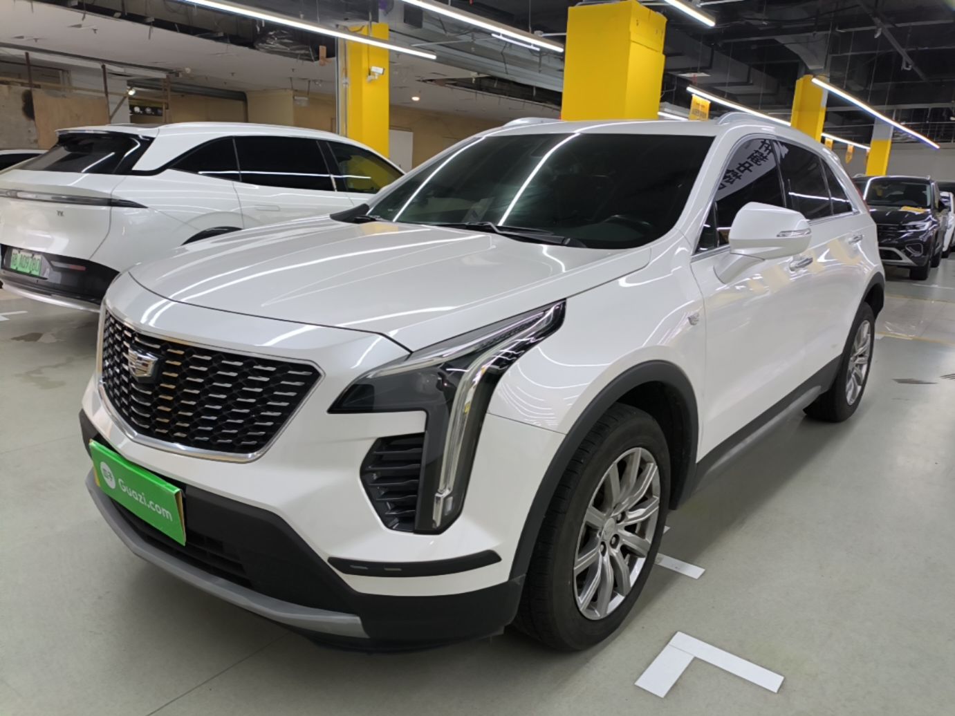 Parte inferior delantera