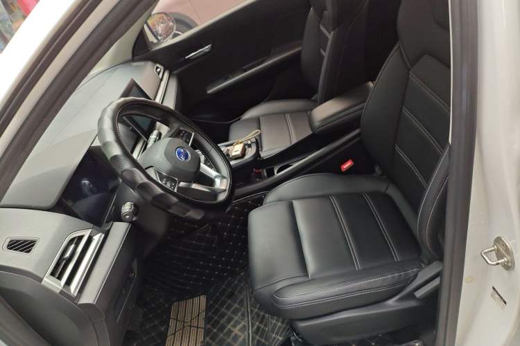 Used BYD e2 2019 Long-Range Version Yao·Luxury Trim
