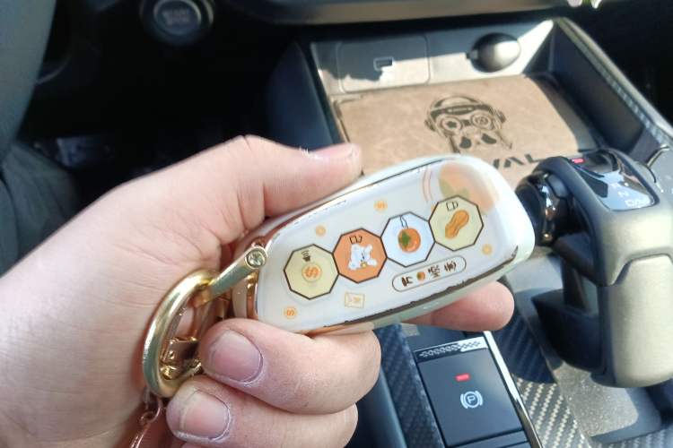 Used Haval H Dog 2023 2.0T All-Wheel-Drive Chaoye Plus