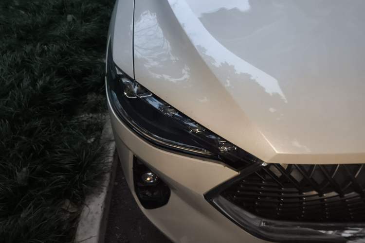 Used Haval F7 2021 1.5T Two-Wheel Drive i-Type