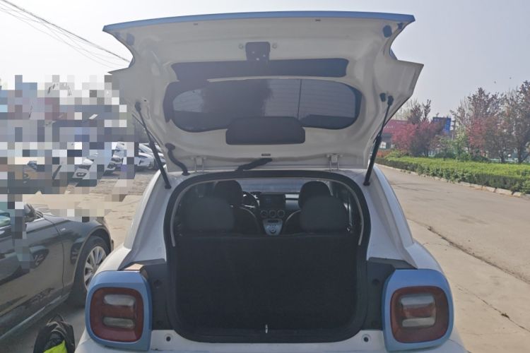 Used ORA Black Cat 2019 351 km Family Edition