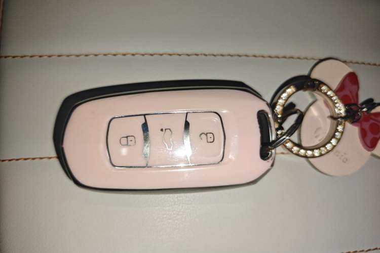 Used Geely Galaxy Panda 2023 Panda Mini 200km Endurance Bear
