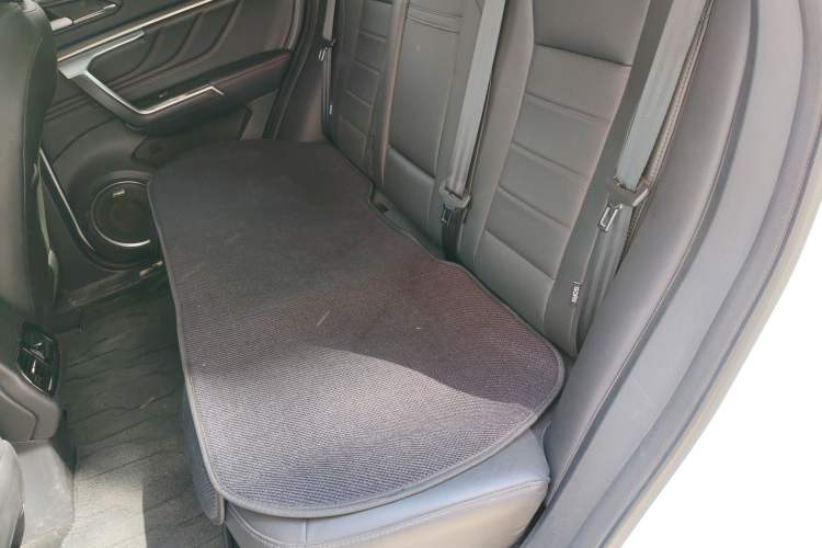 Used Wey VV5 2017 2.0T Ultra-Luxury Version Left Rear Seat