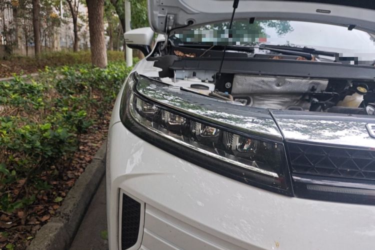 Used EXEED Zhuifeng 2022 Chasing the Waves Edition 1.5T CVT Good Things Peanut Edition