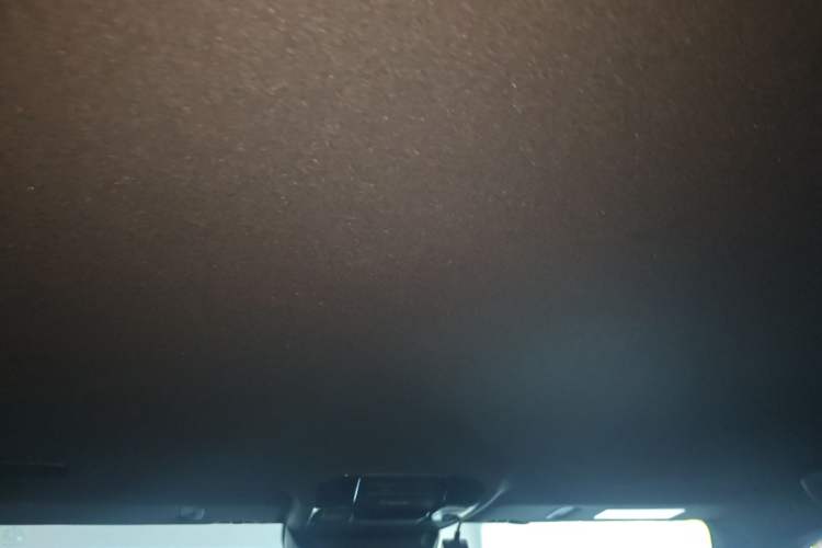 Used Lexus GX 2024 OVERTRAIL Yuanfeng Edition Headliner