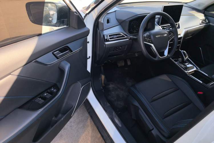 Used Venucia T60EV 2020 AI Enjoyment Model