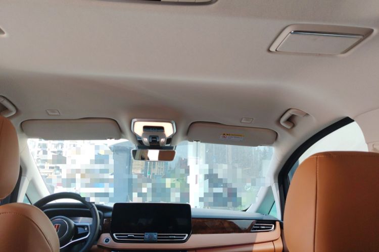 Used Hongqi HQ9 2023 2.0T Smart Connect Flagship Edition Headliner