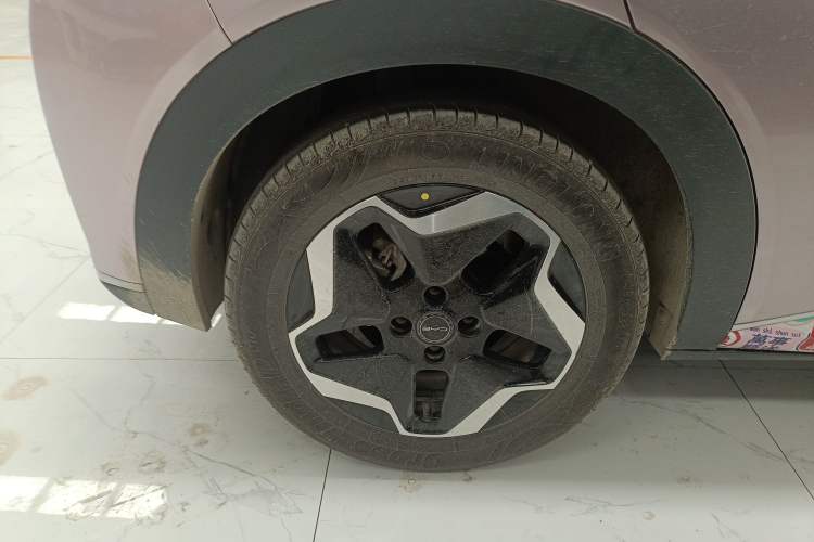 Used BYD Dolphin 2021 405 km Fashion Edition
