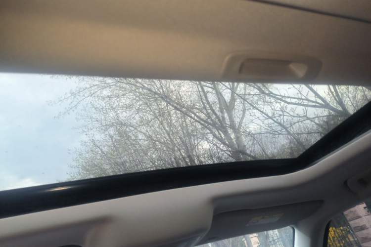 Used Tank 300 New Energy 2025 Hi4-T Headliner