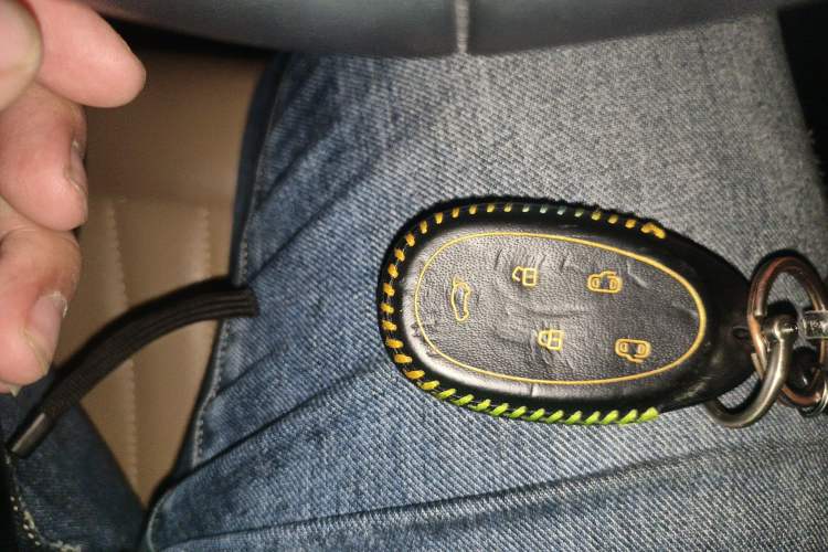 Used JAC Refine RF8 PHEV 2024 Zhiling Edition 1.5T 150KM Prestige Model – Lithium Iron Phosphate