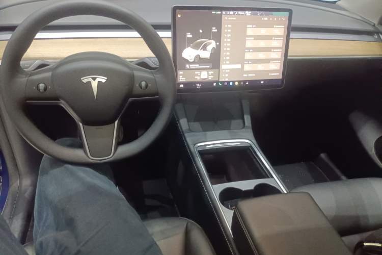 Used Tesla Model Y 2021 Long-Range All-Wheel-Drive Version