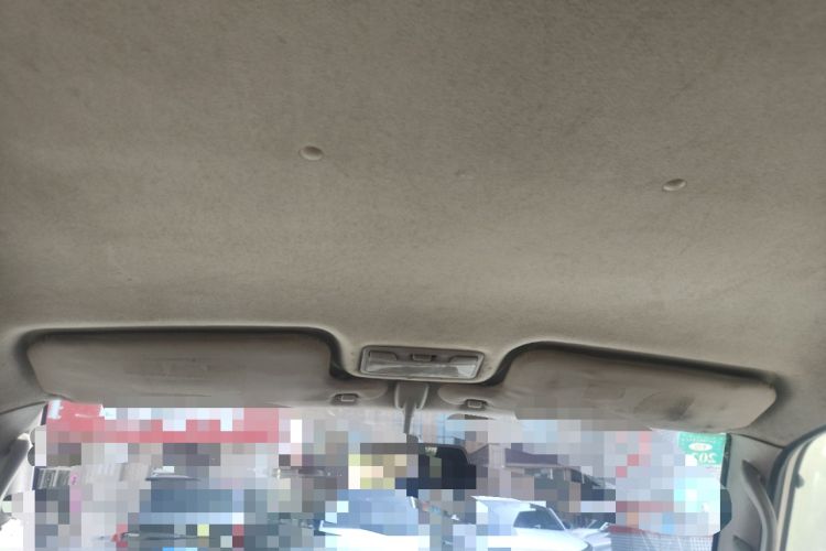 Used Leopaard Feiting 2009 2.0L 4x4 Standard Edition
