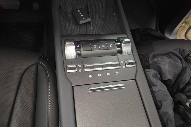 Used Tank 300 New Energy 2025 Hi4-T Gear Lever