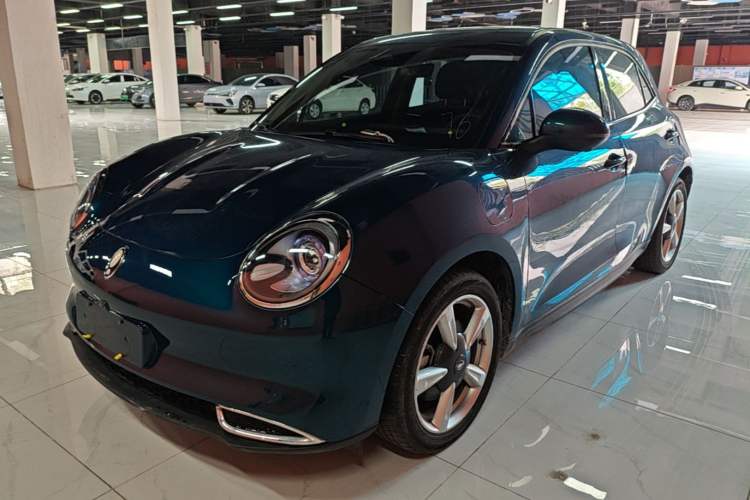 Used ORA Good Cat 2023 401 km Standard Range Luxury Version Lithium Iron Phosphate