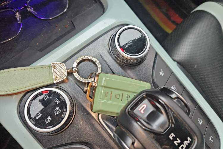 Used Tank 300 2021 City Edition 2.0T—Truly Stylish