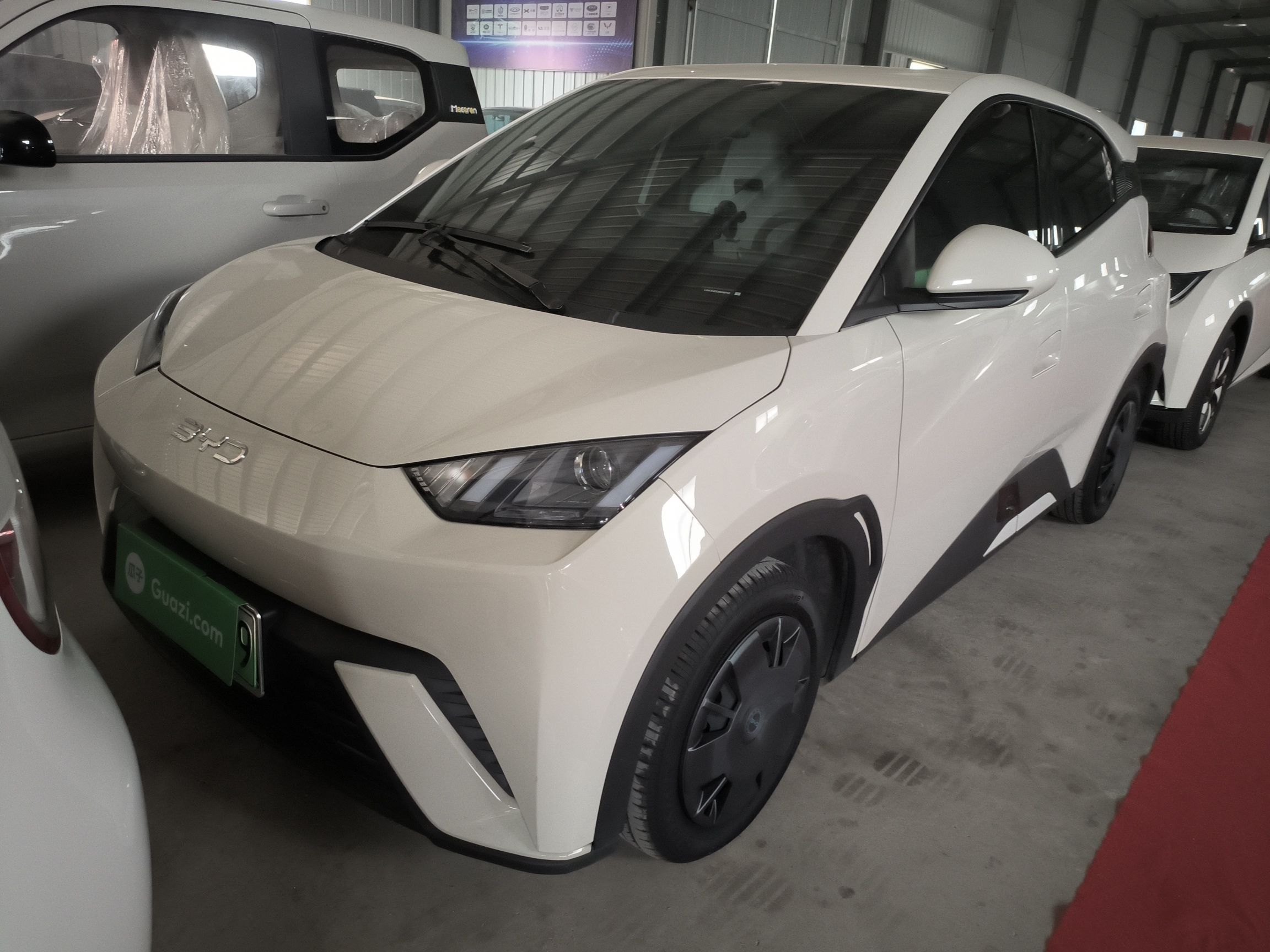 Parte inferior delantera