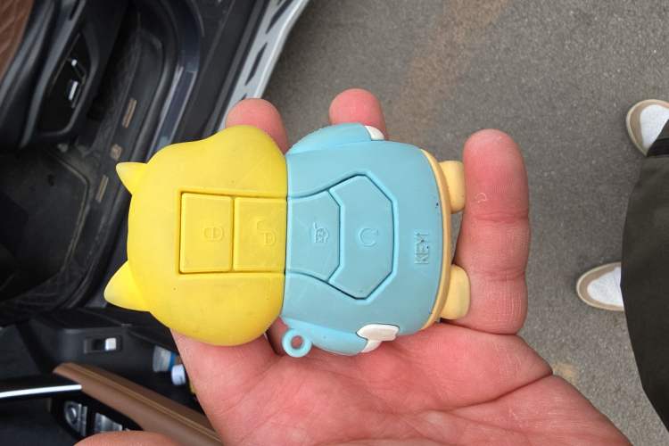 Used BYD Tang New Energy 2021 DM-i 112KM Prestige Model Vehicle Key