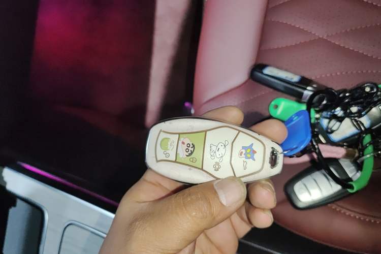 Used Hongqi HS5 2025 2.0T Two-Wheel-Drive Xuan Ying Edition Vehicle Key