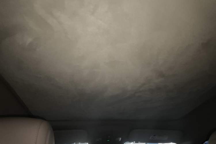 Used firefly 2025 Illuminated Edition
