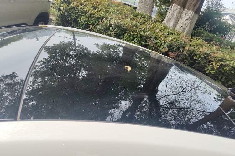 Used Ford Focus 2021 Sedan EcoBoost 180 Automatic ST Line