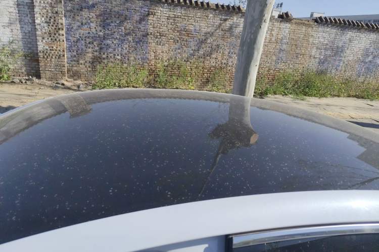 Used BYD Qin L 2024 DM-i 80KM Beyond Model Roof